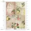 apple, apples, pear, pears, lemon, lemons, peach, peaches, fruit, branch, leaves, old inscription, retro, handwriting, old paper, letter, background, Apfel, Äpfel, Birne, Birnen, Zitrone, Zitronen, Pfirsich, Pfirsiche, Obst